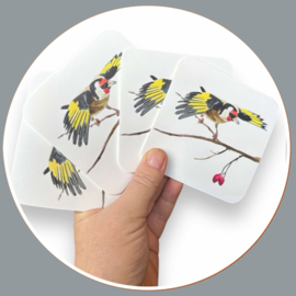 Putter onderzetters - Distelvink onderzetter aquarel