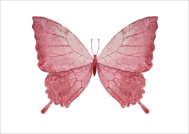 Roze vlinder - kaart