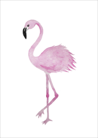 Flamingo - kaart