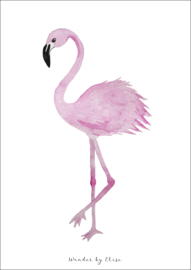 Flamingo - A3 Poster