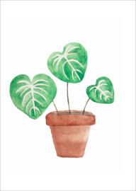 Groene plant in pot - kaart