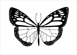 Vlinder - kaart