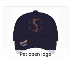 MoveS caps "open logo"
