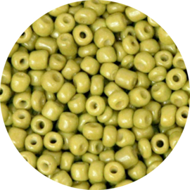 Kralen rocailles origano green 3mm 20gr