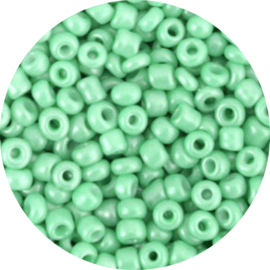 Kralen rocailles dark pastel green 3mm 20gr