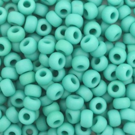 Miyuki Rocailles 6/0 – Mintgroen – 4 mm – 5 gram
