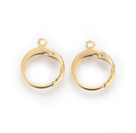 Oorbelhaakjes stainless steel 24k gold plated 1 paar