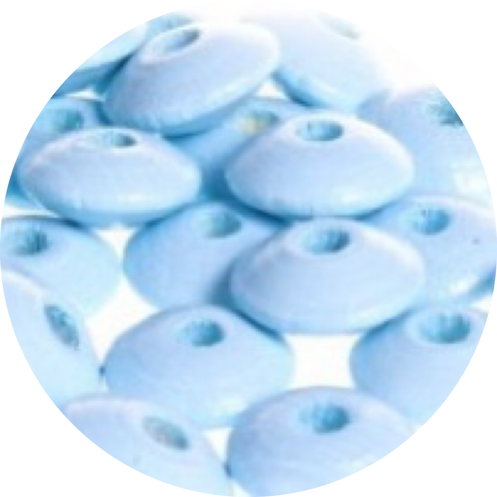 Kralen hout disc babyblauw 25st