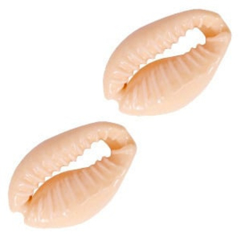 Cowrie/kauri schelp – licht peach (ca. 17×12 mm) – set van 5