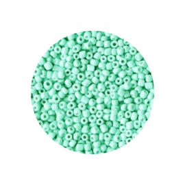 Rocailles 2mm Mintgroen – 20 gram