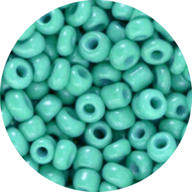 Kralen rocailles teal green 4mm 20gr