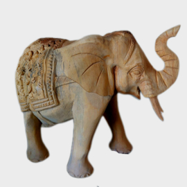Indiase olifant