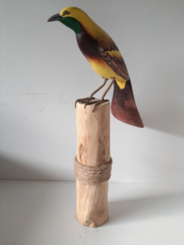Vogel op stam