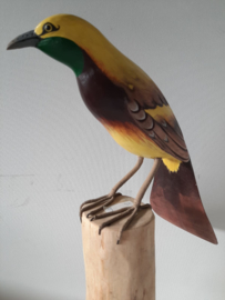 Vogel op stam