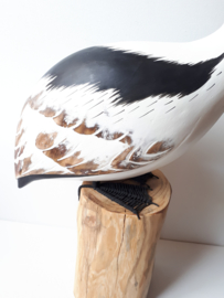 Pelikaan hout