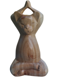 Yogakat