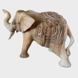 Indiase olifant
