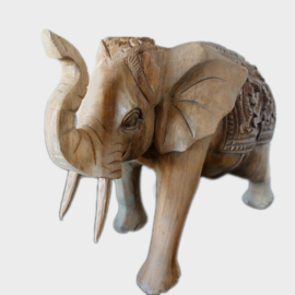Indiase olifant