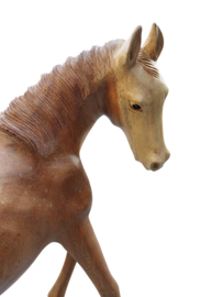 Houten paard