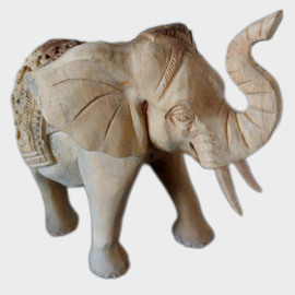 Indiase olifant