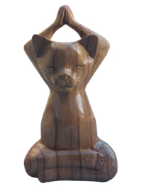 Yogakat
