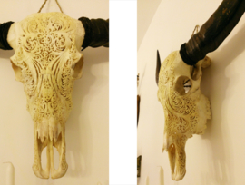 Mooie handbewerkte schedel van een os