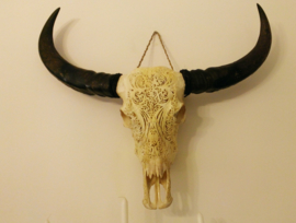 Mooie handbewerkte schedel van een os