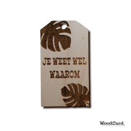 JE WEET WEL WAAROM -MONSTERA - 10 stuks