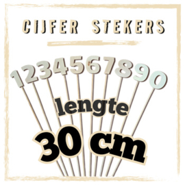 CIJFER-STEKER 30 cm lang