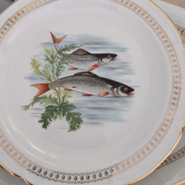 Porcelaine de Vierzon - plat visbord - Porselein