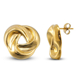 Roestvrij stalen  Stainless steel oorstekers goud