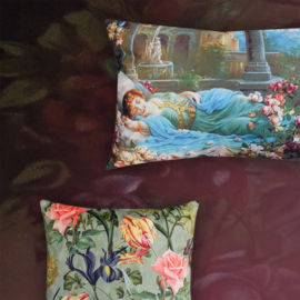 258 Pillow Sleeping Beauty 60x40