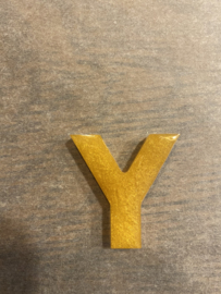 Letter Y