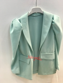 ‘Chantal ‘Groen blazer.