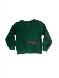 'Denim ' jongens sweater groen.
