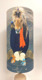 Lampenkap paard op ijs
