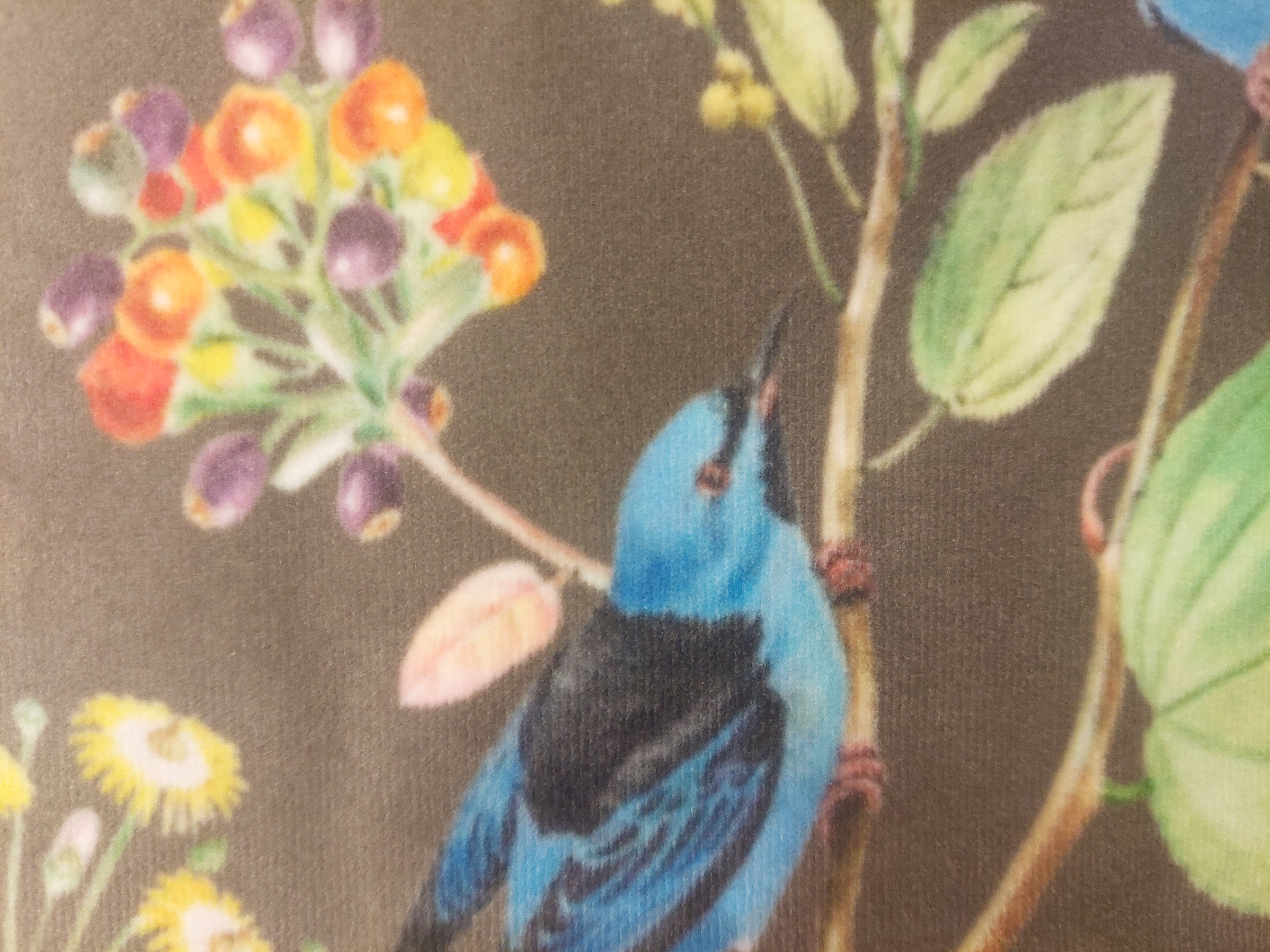 Kussen vogels velvet