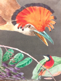 Kussen velvetvogel met oranje
