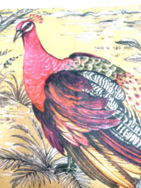 Kussen velvet goudgeel pauwen