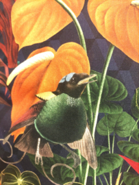 Kussen canvas vogel oranje/rode bloem