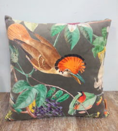 Kussen velvetvogel met oranje