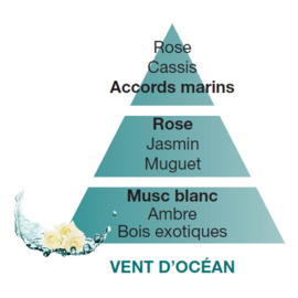 Vent d'océan - Ocean Breeze 500ml