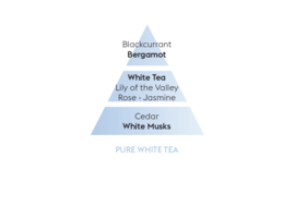 Thé Blanc Pureté / Pure White Tea 500ml