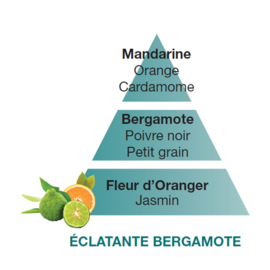 Eclatante Bergamote / Radiant Bergamot 500ml