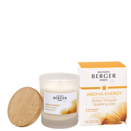 Maison Berger Geurkaars Aroma Energy Zestes Toniques