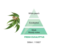 Fraîcheur d'Eucalyptus - Eucalyptus 500ml