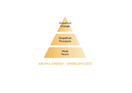 Aroma Energy / Zestes Toniques 1L