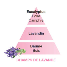 Champs de Lavande – Lavendel velden 500ml