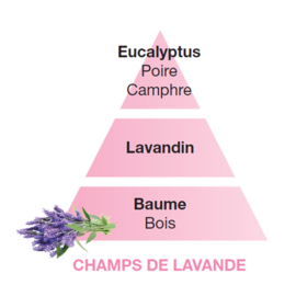 Champs de Lavande – Lavendel velden 1L