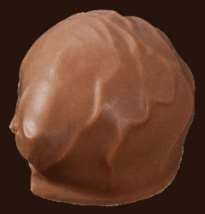 Praline Excellence Glaceerbol Melk